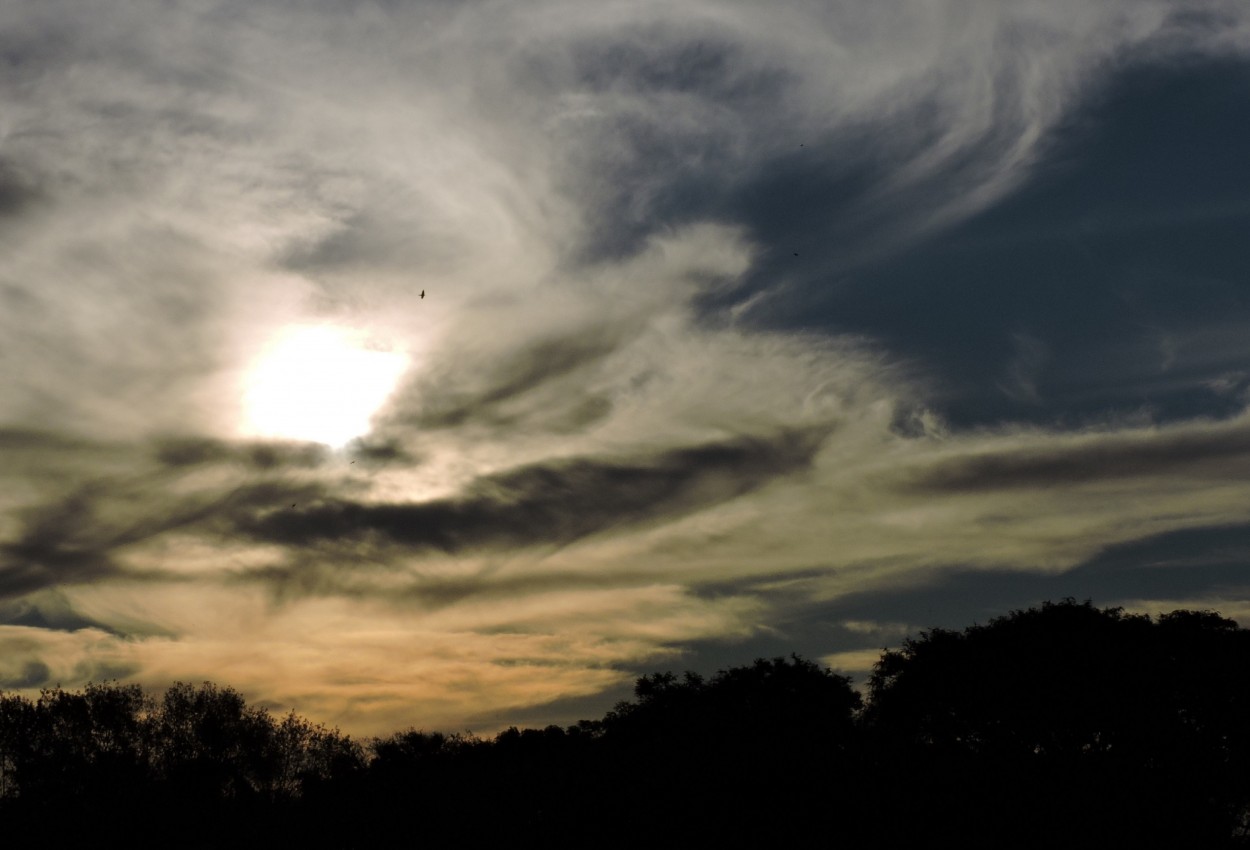 "Atardecer en la reserva" de Silvia Olliari