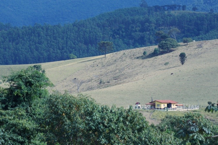 "O sonho de quem mora em cidades grandes !" de Decio Badari