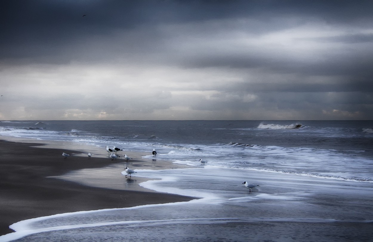 "invierno en el mar" de Mercedes Orden