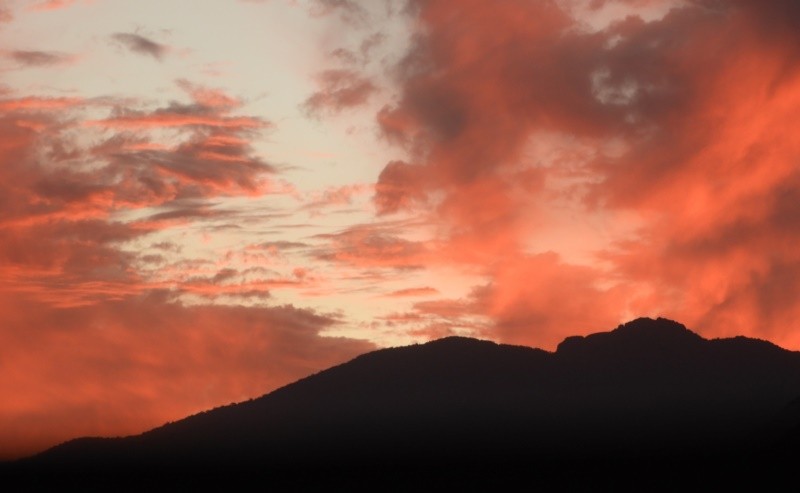 "Fim da tarde a terra cora e a gente chora ......." de Decio Badari