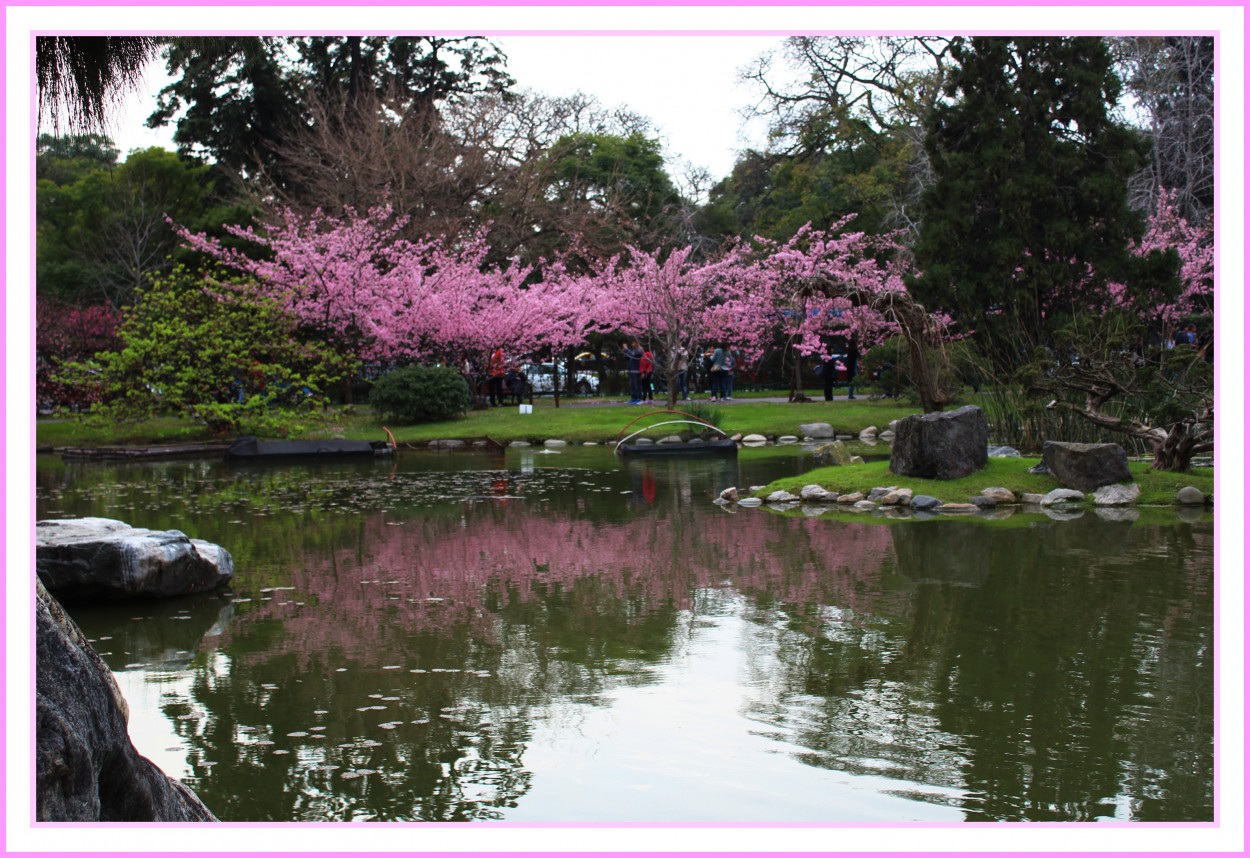 "Julio en el Jardn Japons..." de Silvia Emilia Guerra