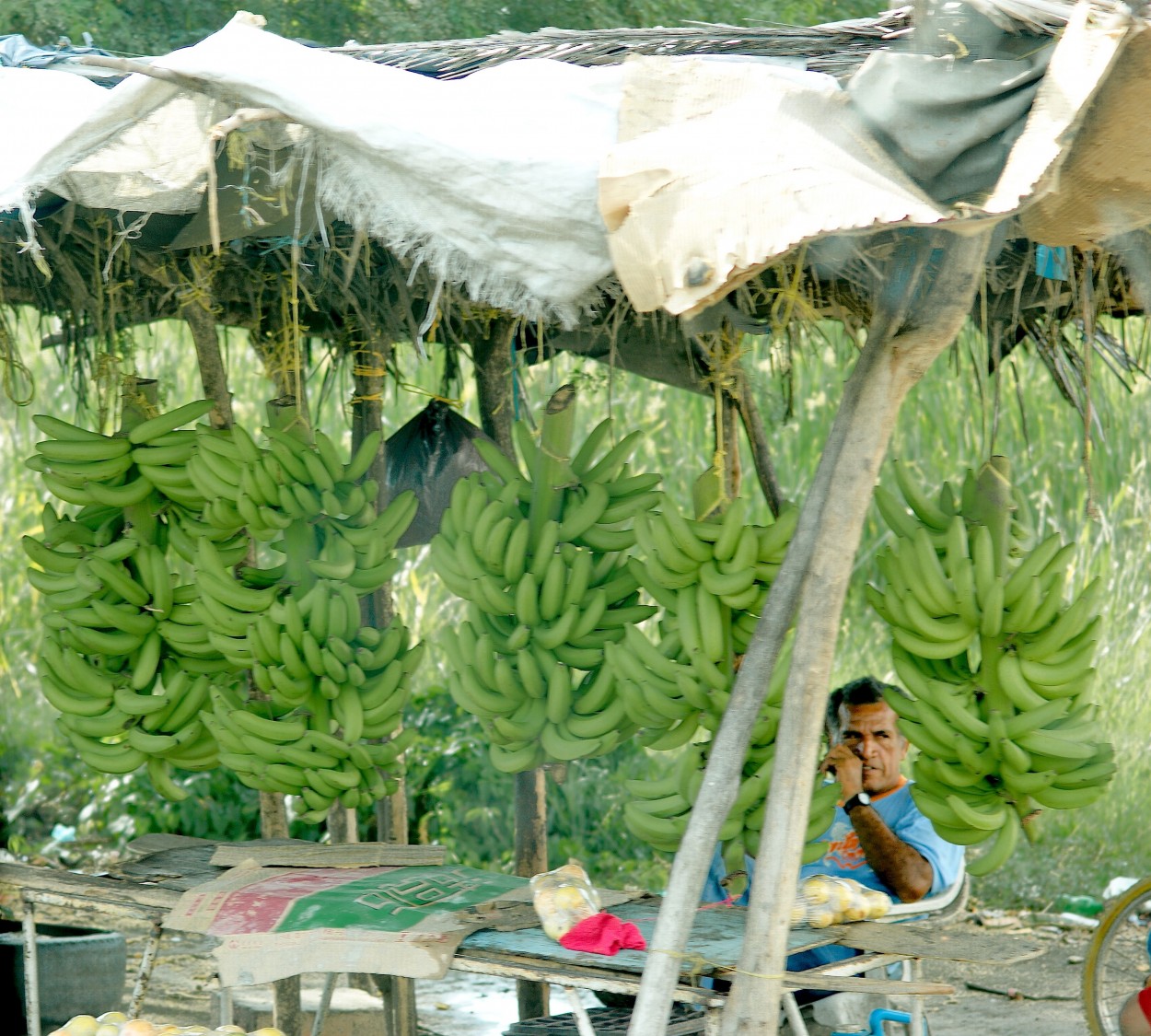 "Camin a Santa Marta - Colombia" de Carlos Alberto Izzo