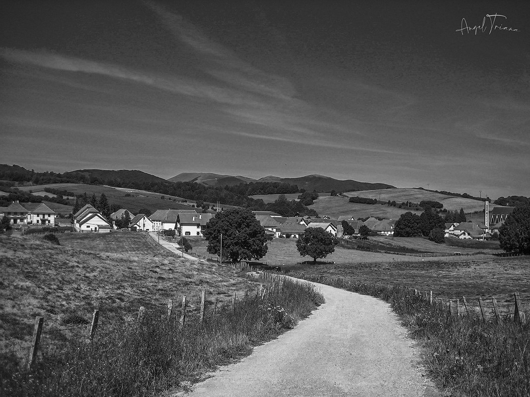 "Caminando a Santiago" de Angel Triana