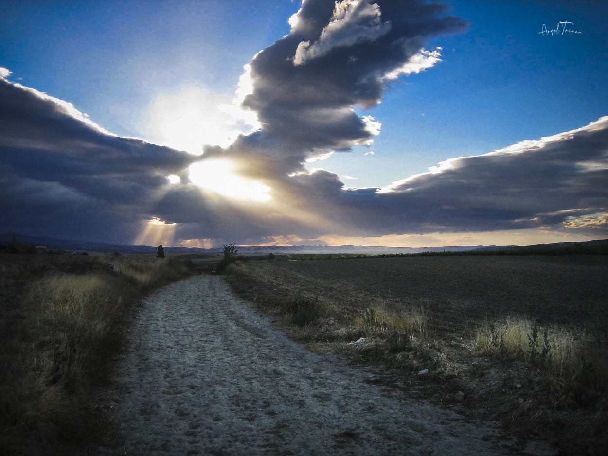 "Caminando a Santiago" de Angel Triana