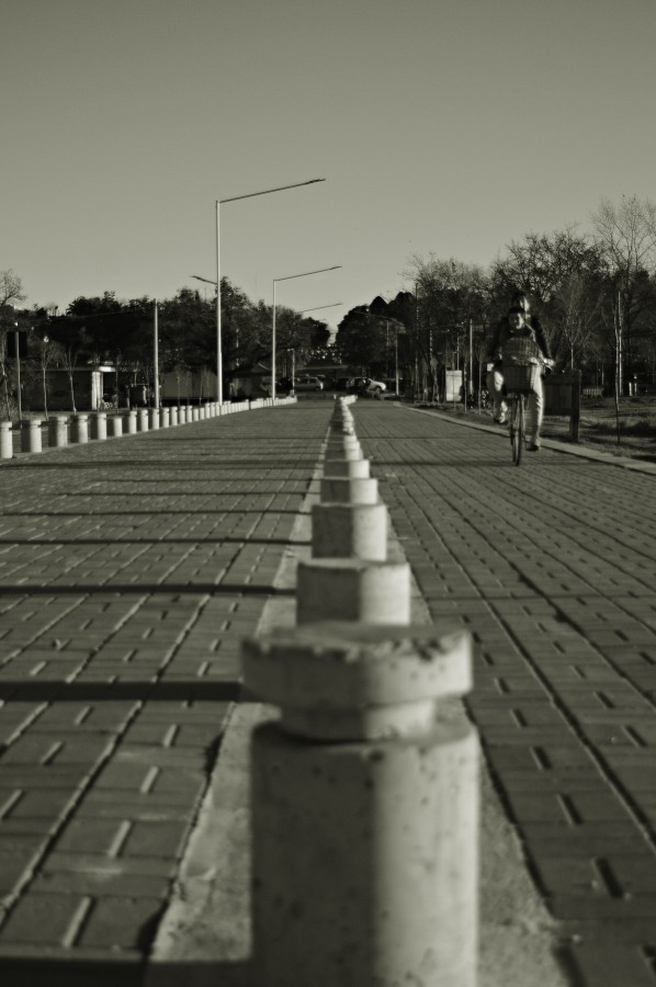 "La bicicleta" de Florencia Alvarez