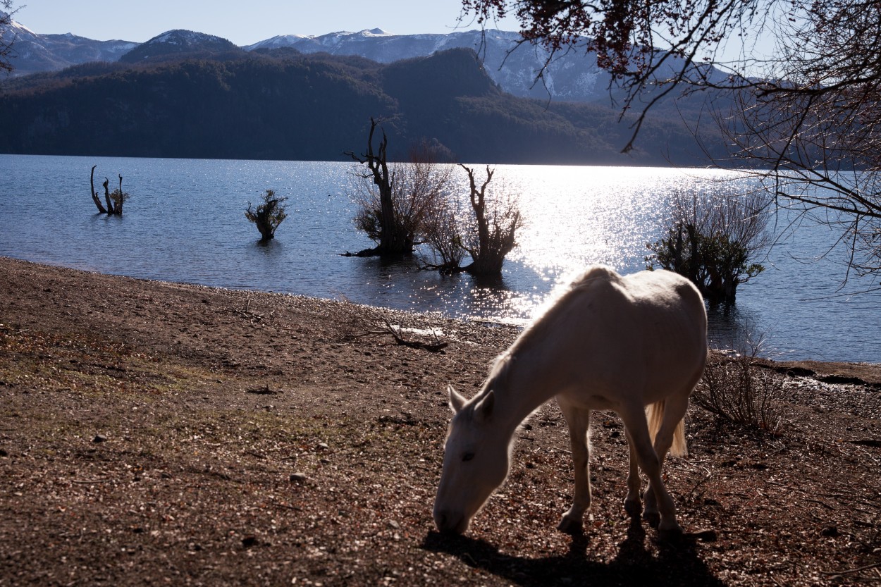 "Lago manso" de Mara Andreadiaz