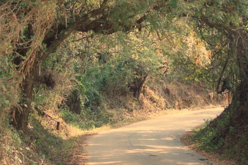 "Toda grande caminhada comea com um simples passo." de Decio Badari