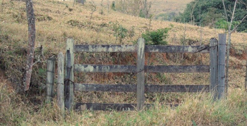 "Ecos de um passado distante." de Decio Badari