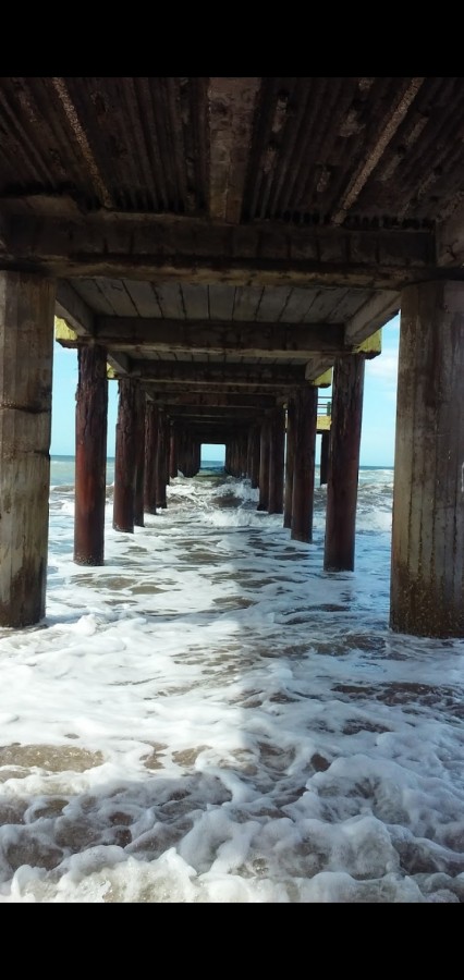 "Muelle" de Amparo Josefina Maggi