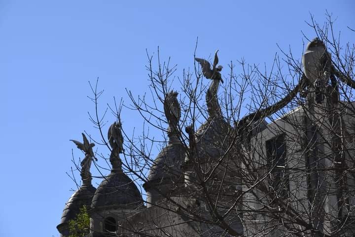 "Los guardianes" de Andrea Cormick