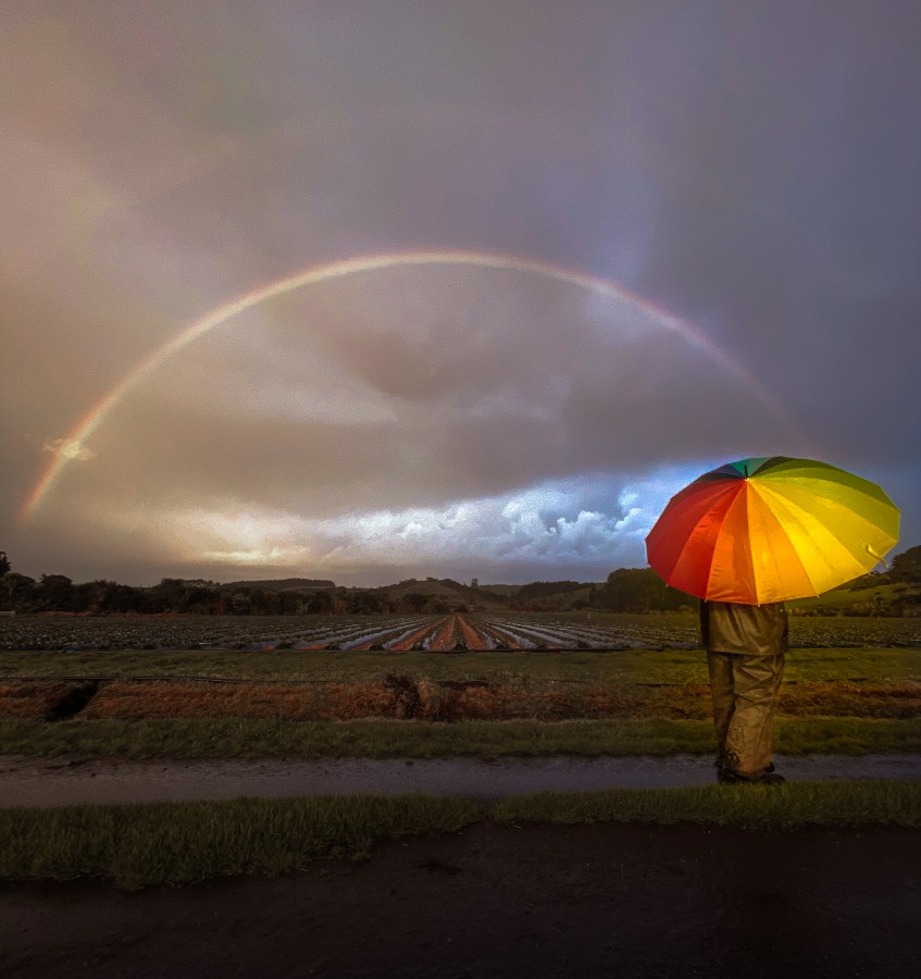 "Rainbow" de Pilar Montes de Oca