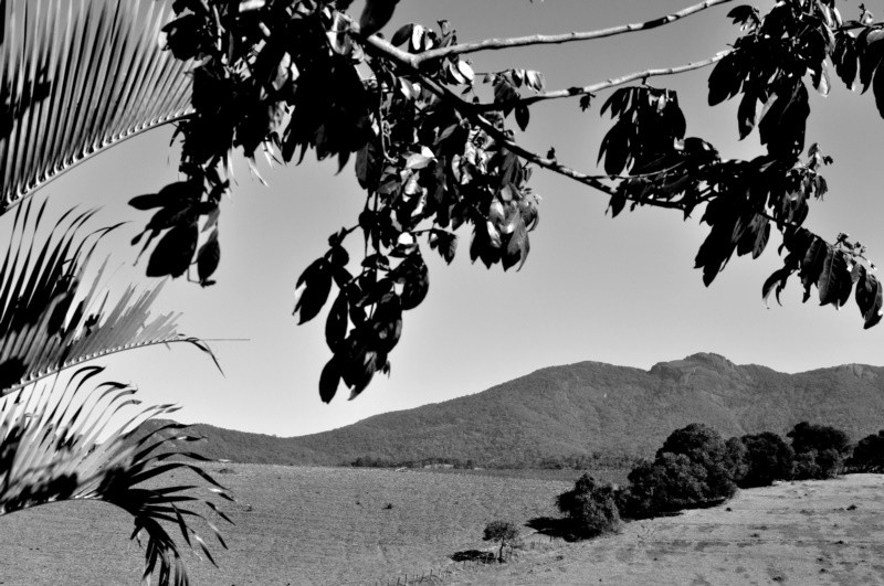 "Emoldurando a nossa Serra da Mantiqueira." de Decio Badari