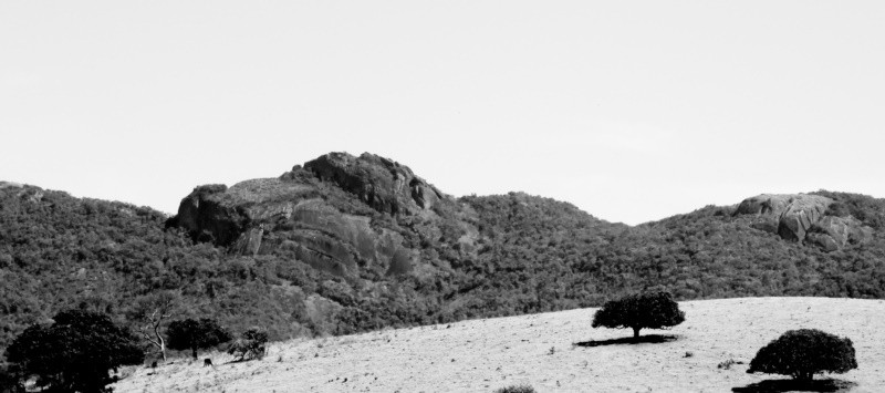 "Uma panormica da Serra da Mantiqueira" de Decio Badari