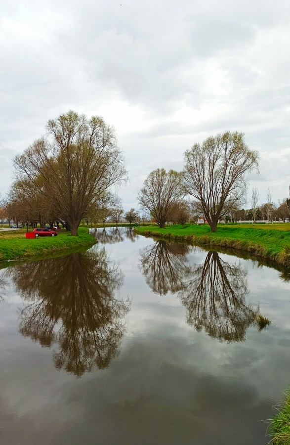 "`Reflejos en el Lago`" de Stella Maris Almandoz