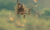 A natureza e seus caprichos, texturas e cores.