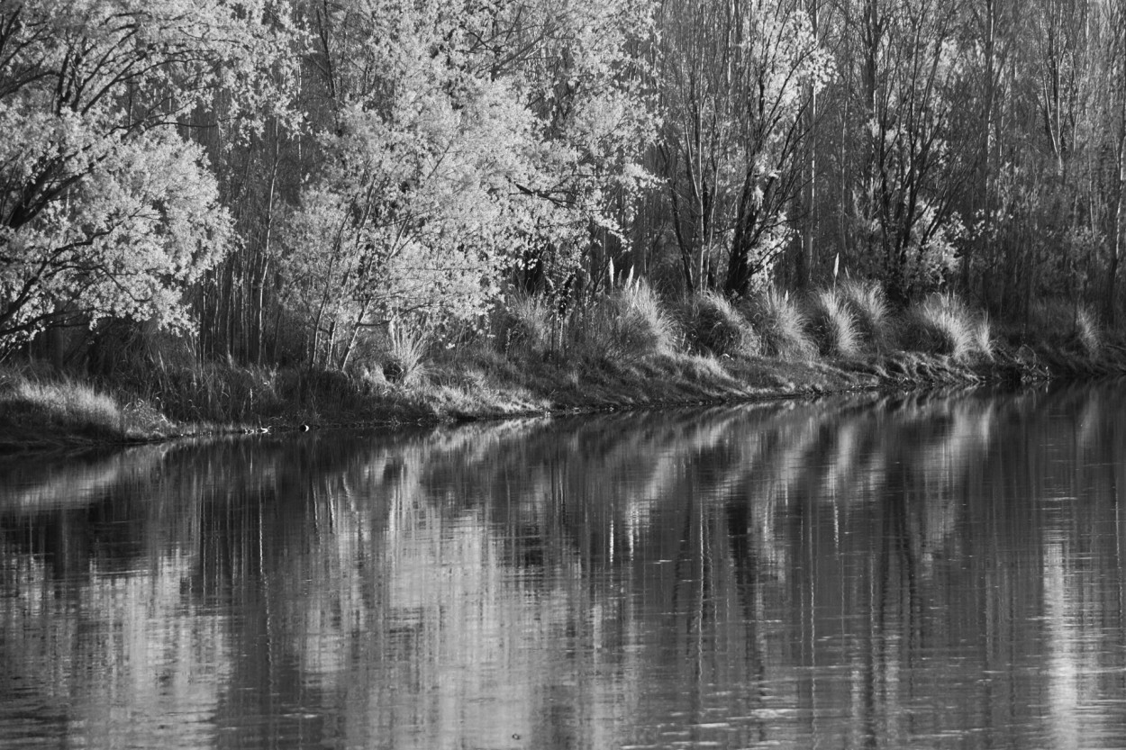 "Limay" de Osvaldo Sergio Gagliardi