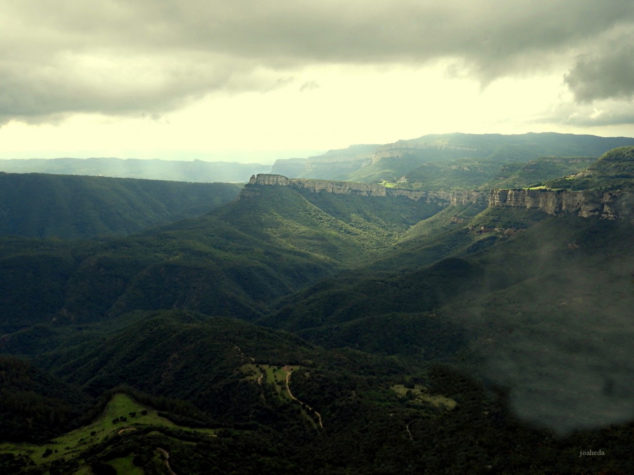 "ESPLeNDoR de la NaTuRaLeZa" de Joana Sansalvador Roca