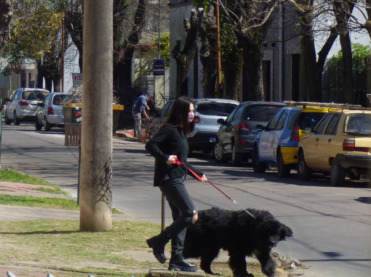 "Caminata con mascota `" de Graciela Edith Flocco