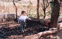 El domador de gallinas