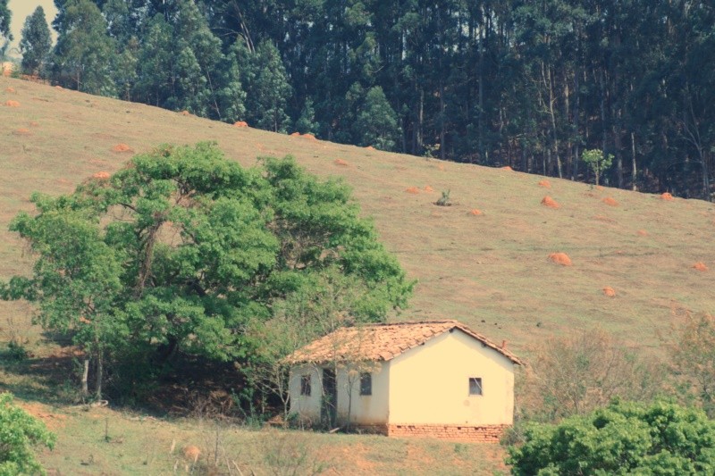 "Abandonam o campo e vo para as cidades." de Decio Badari