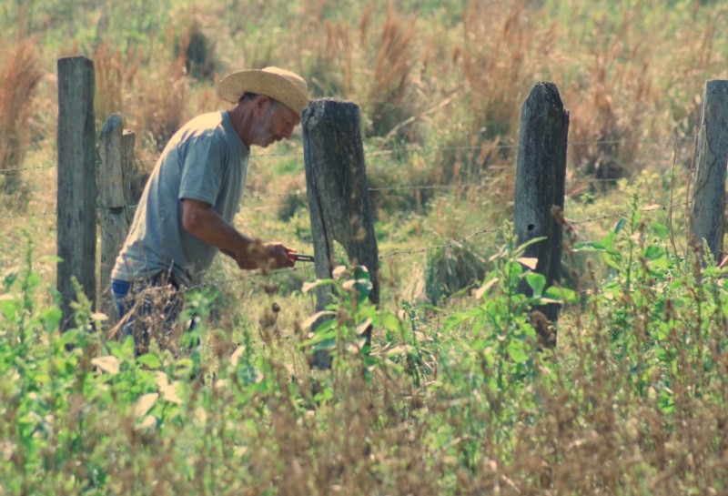 "Muito calor, mas o trabalho no campo no para!" de Decio Badari