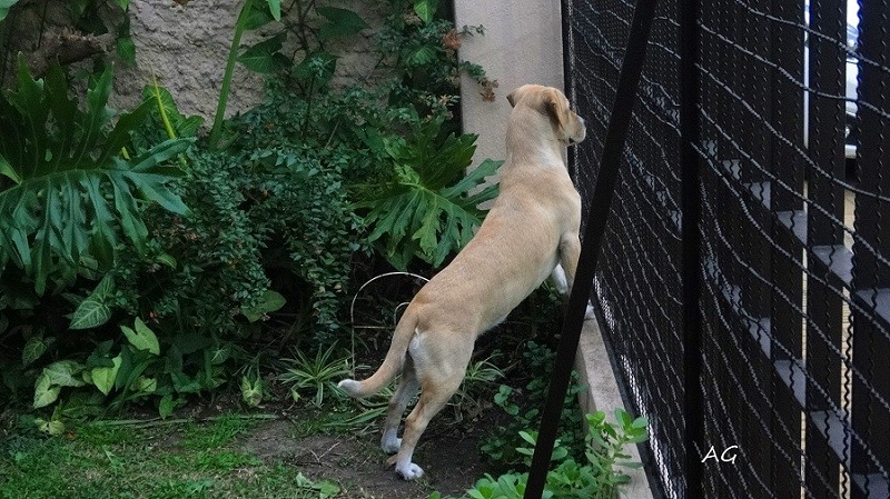 "Ella de guardia" de Ana Giorno