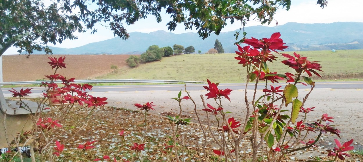 "Uma pausa na caminhada para clicar e compartilhar." de Decio Badari