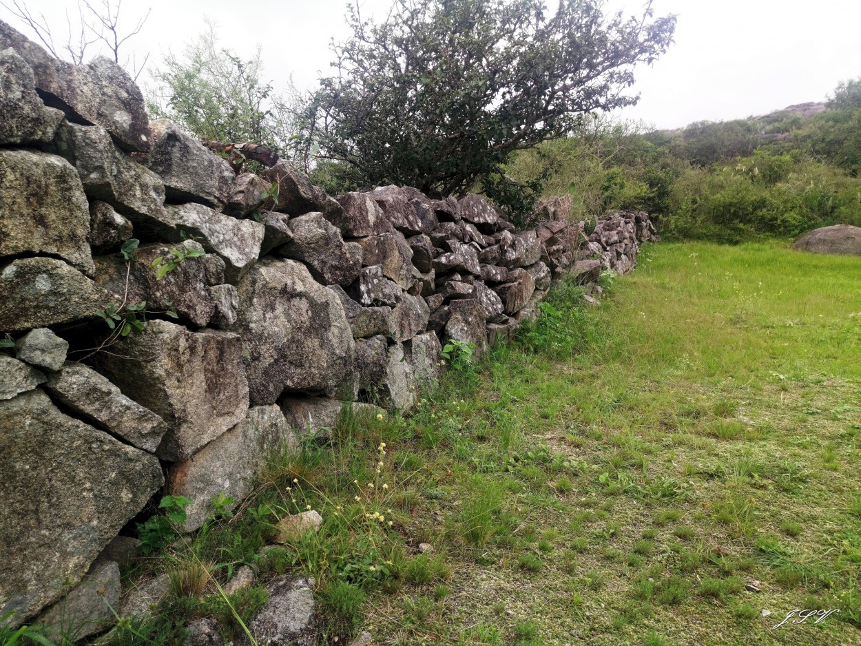 "Cerco de piedras" de Jorge Vargas