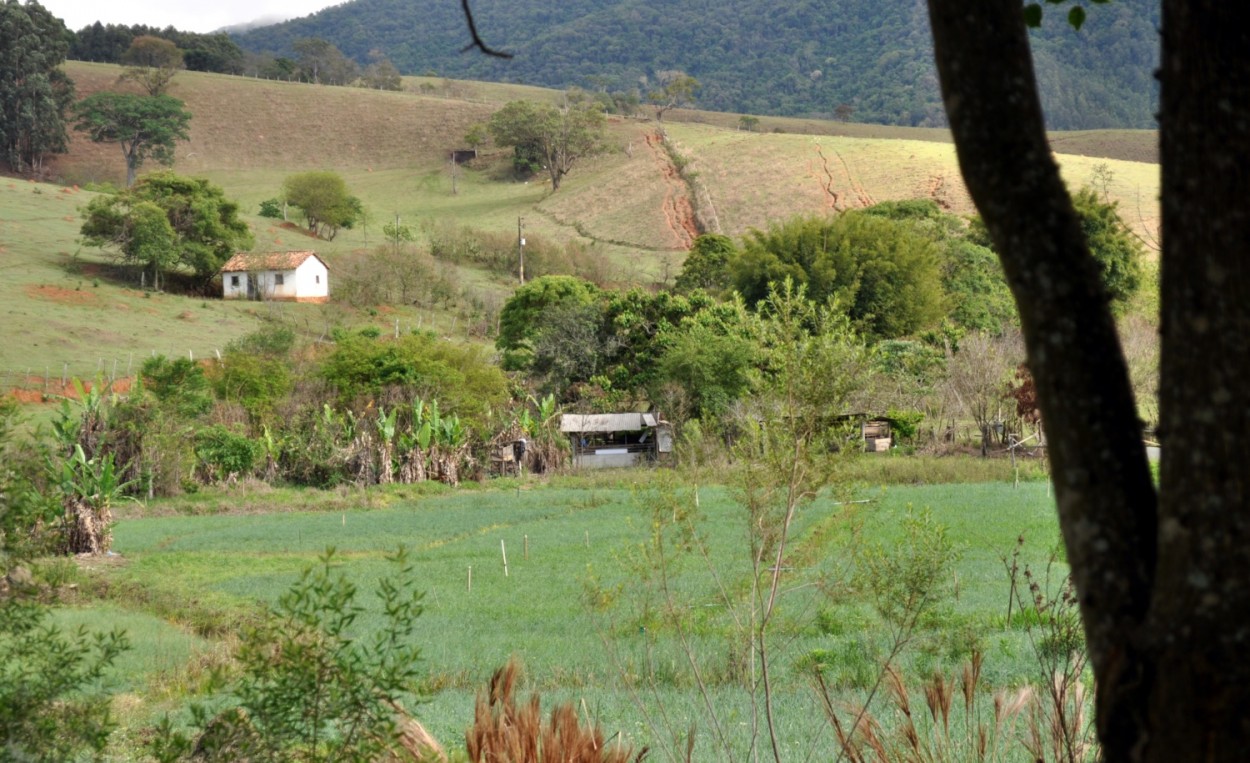 "Iniciando a minha caminhada de hoje." de Decio Badari