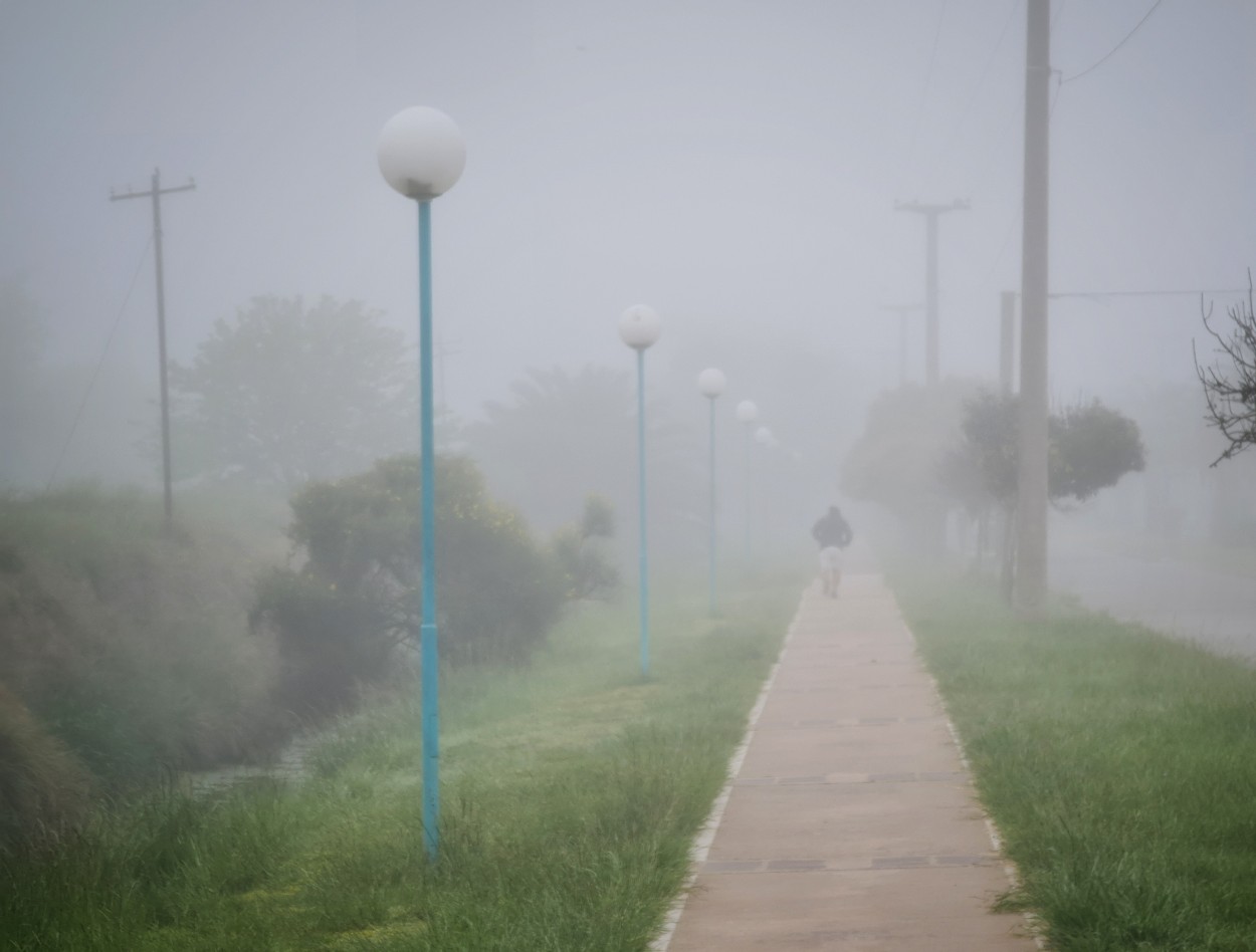 "Niebla de primavera" de Fernando Valdez Vazquez