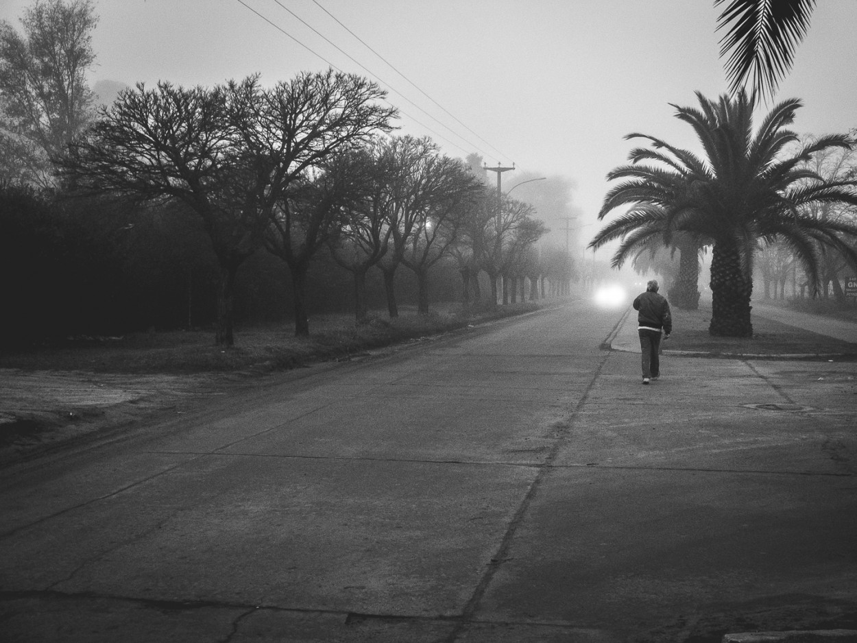 "Auto de frente" de Fernando Valdez Vazquez