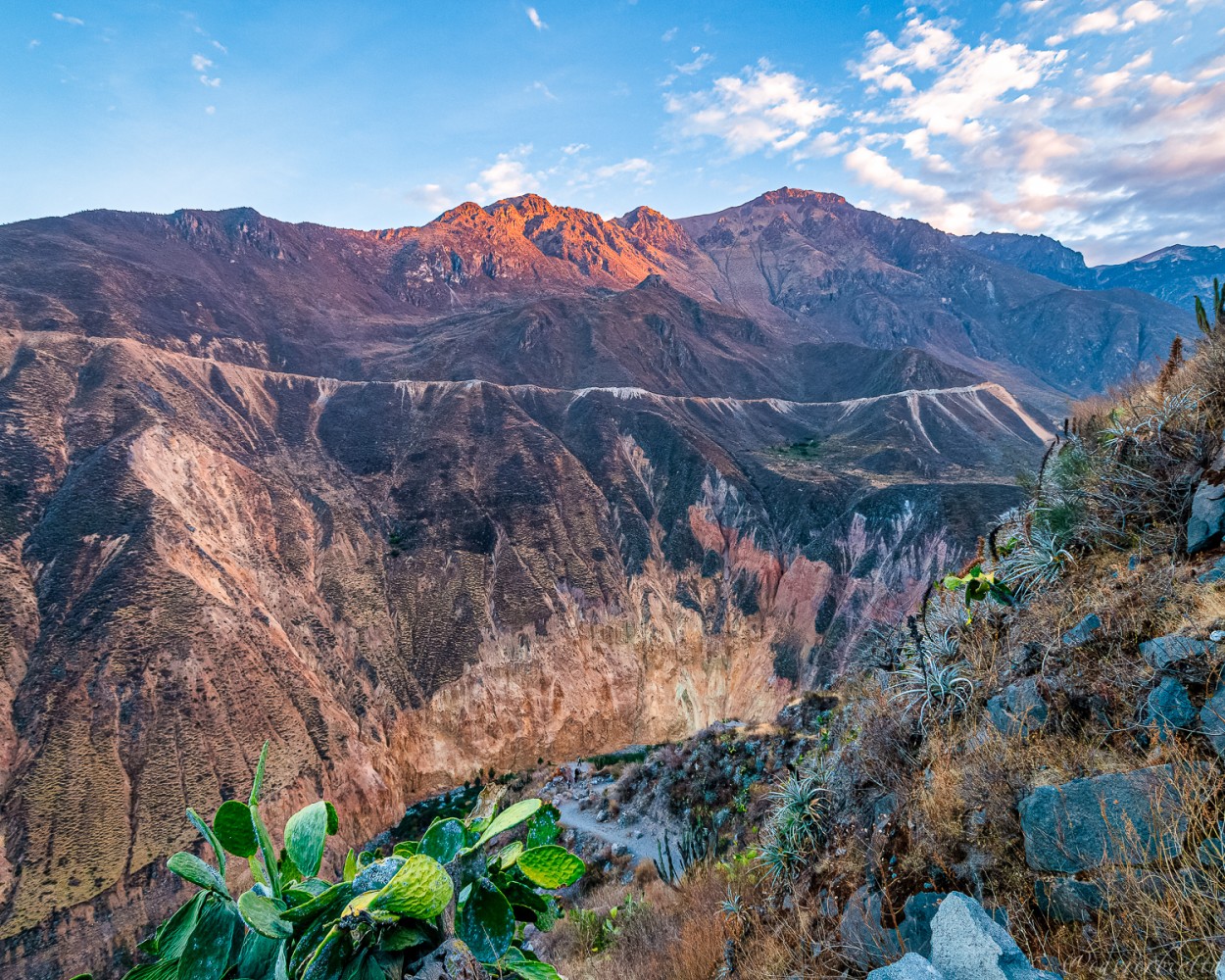 "Rincones del Per, Can del Colca" de David Roldn