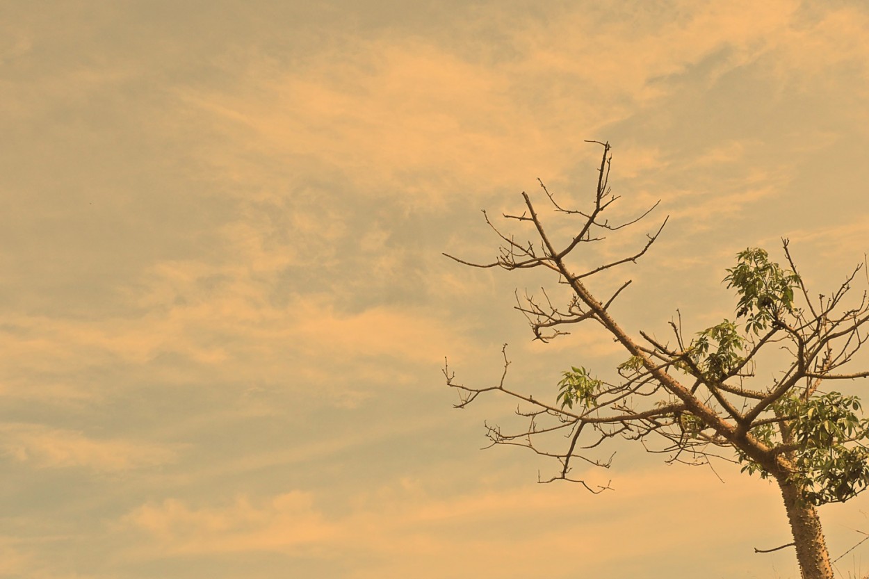 "O primeiro olhar neste amanhecer." de Decio Badari