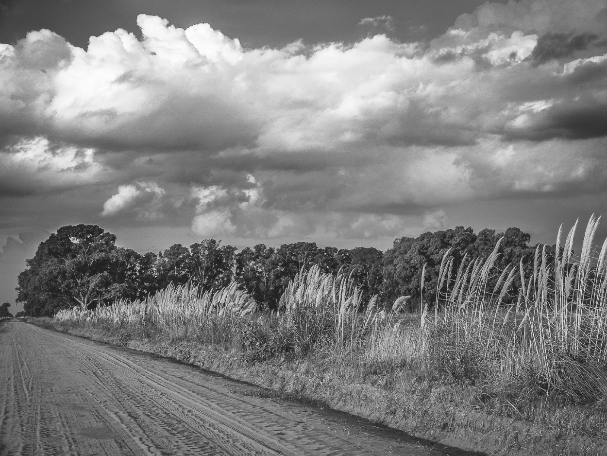 "Paisaje de campo en blanco y negro" de Fernando Valdez Vazquez