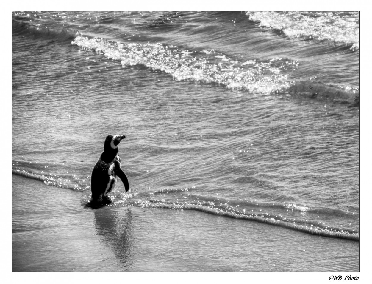 "Al mar" de Walter Bourgeois