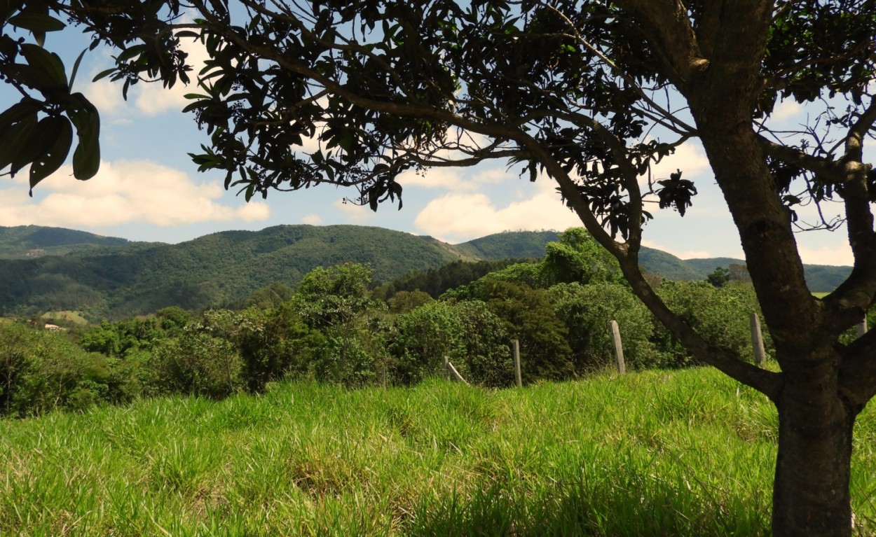 "Meu olhar para a nossa Serra da Mantiqueira." de Decio Badari