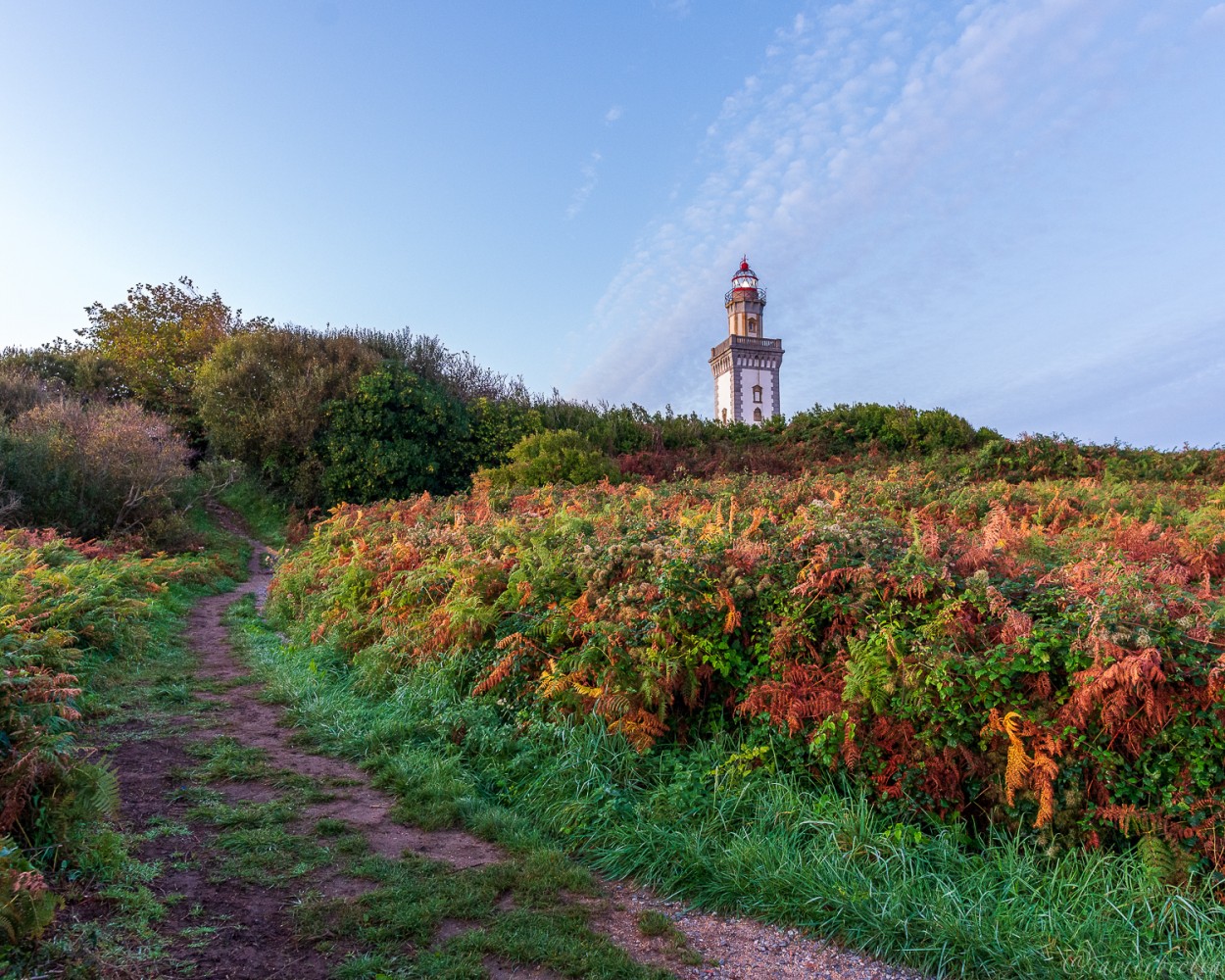 "Faro de Cabo Higuer" de David Roldn