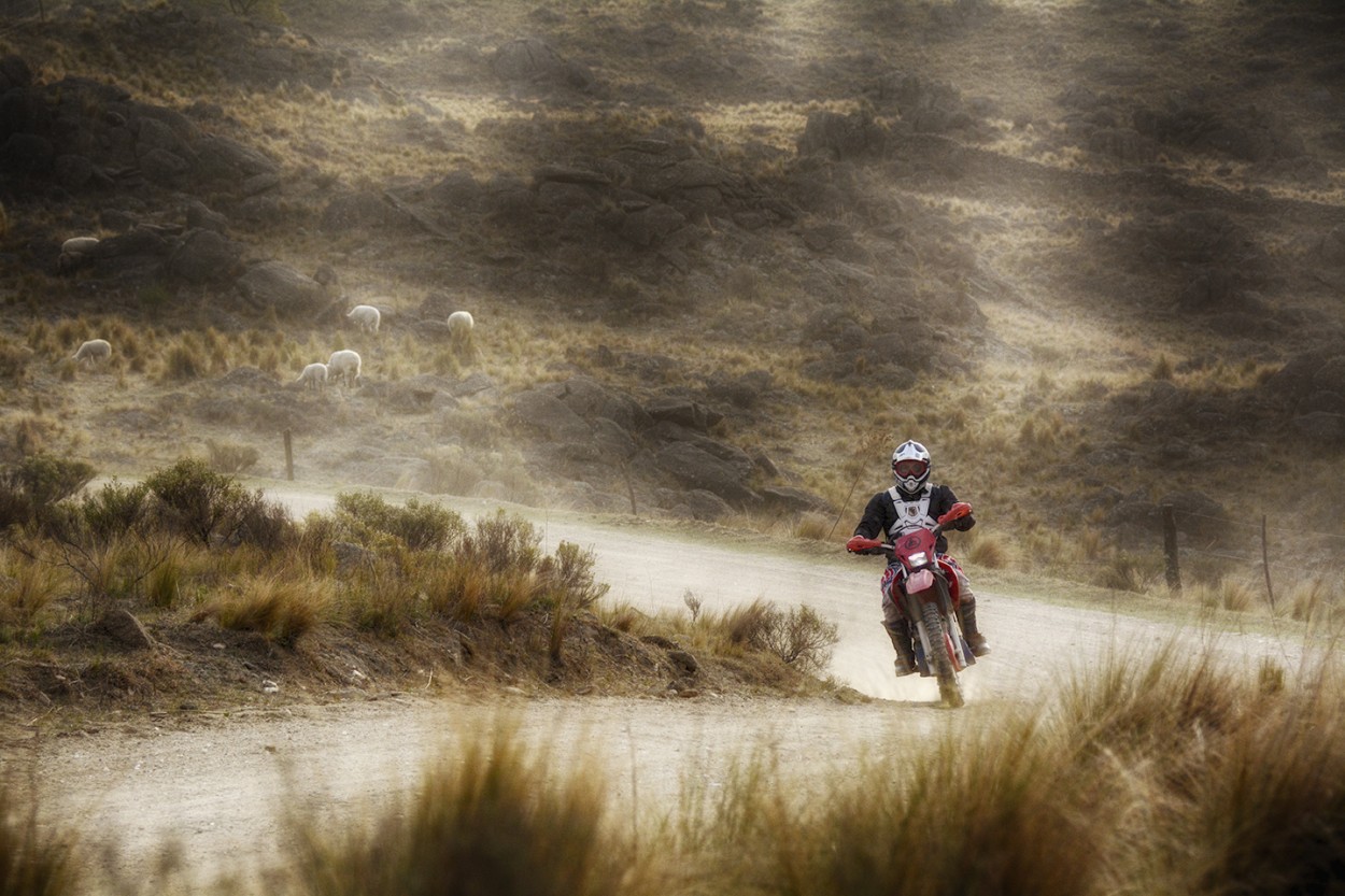 "por la montaa, entre motos y ovejas" de Mercedes Orden