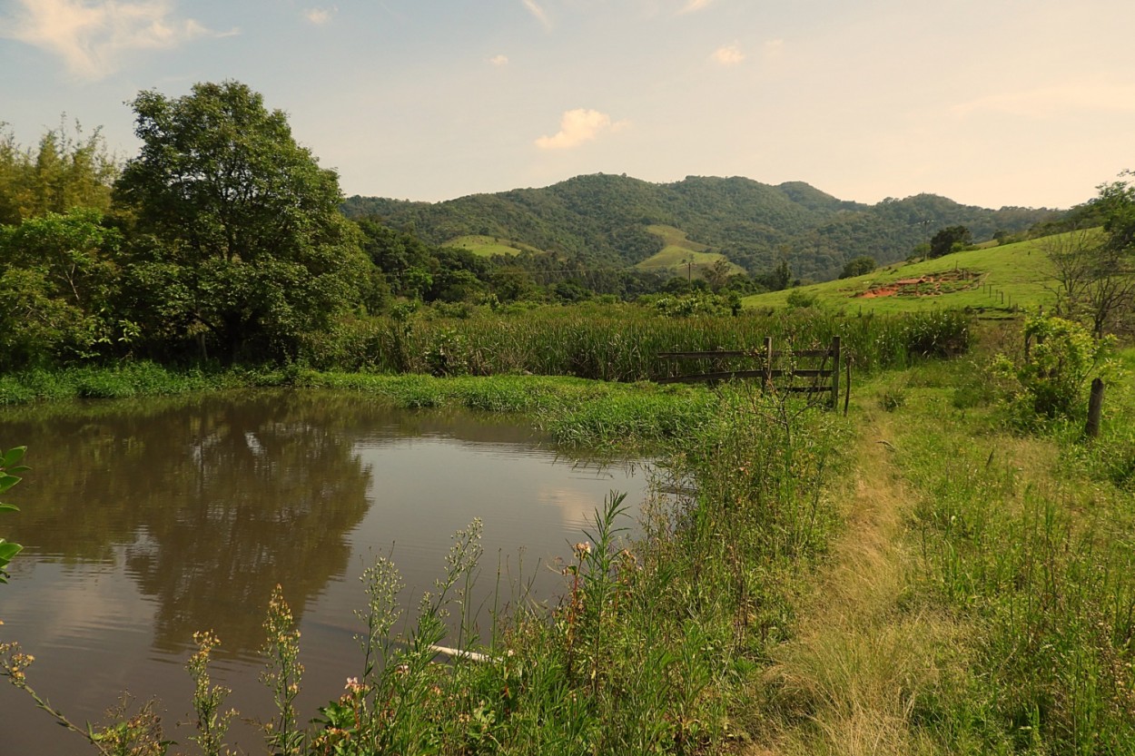 "O pequeno lago na velha fazenda,pausa refrescante!" de Decio Badari