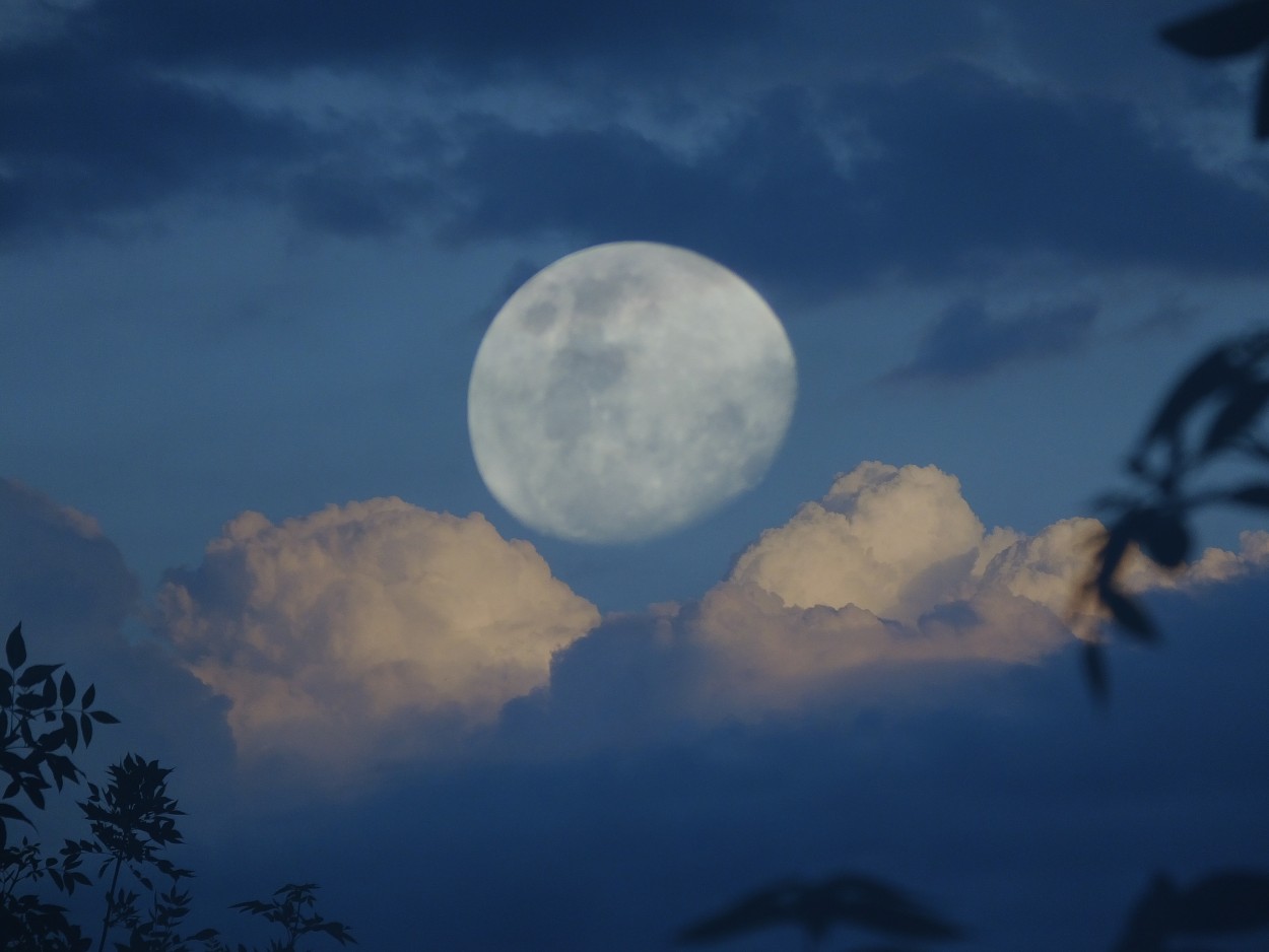 "Antes de la lluvia... jugando con la luna" de Juan Fco. Fernndez