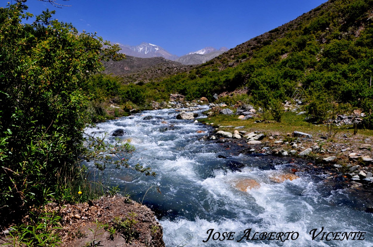 "arroyos de mis pagos" de Jose Alberto Vicente