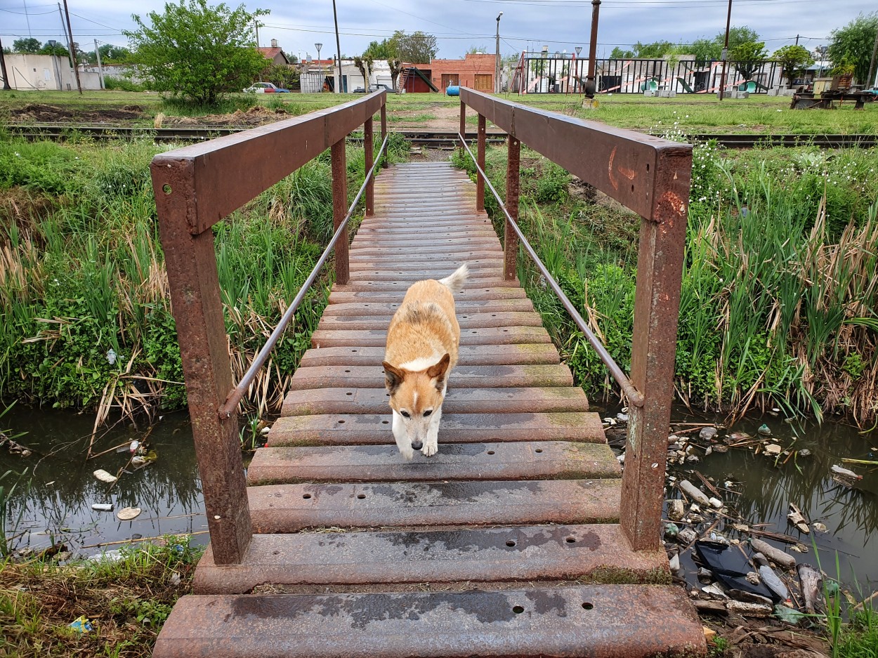 "Cruzando el puente" de Fernando Valdez Vazquez