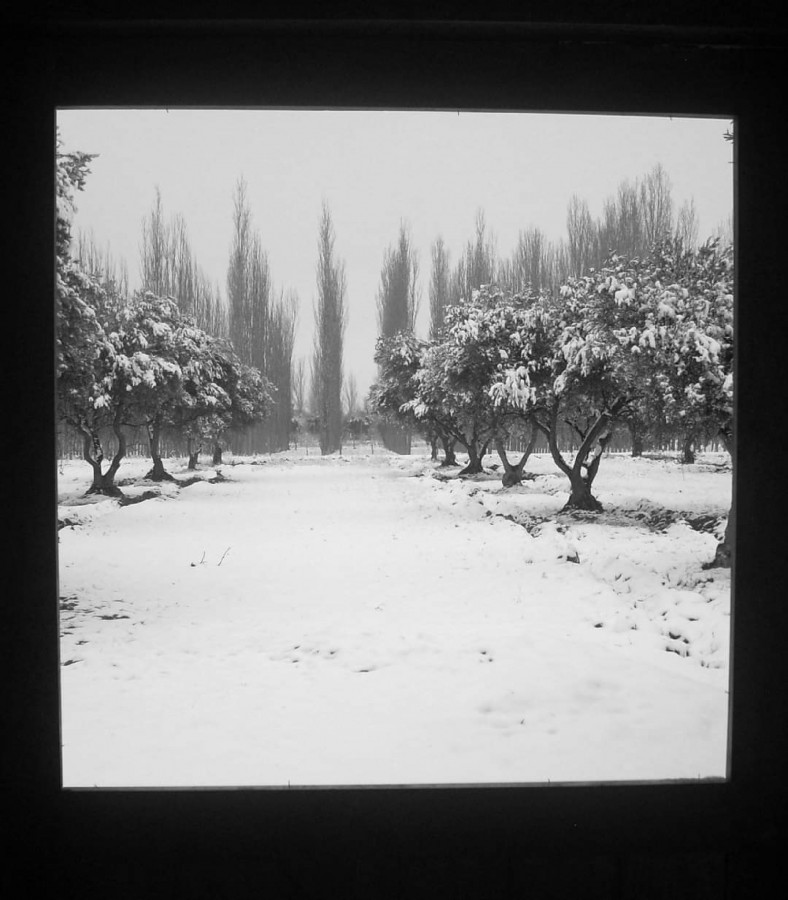 "Ventana invernal" de Cecilia Mazurenco