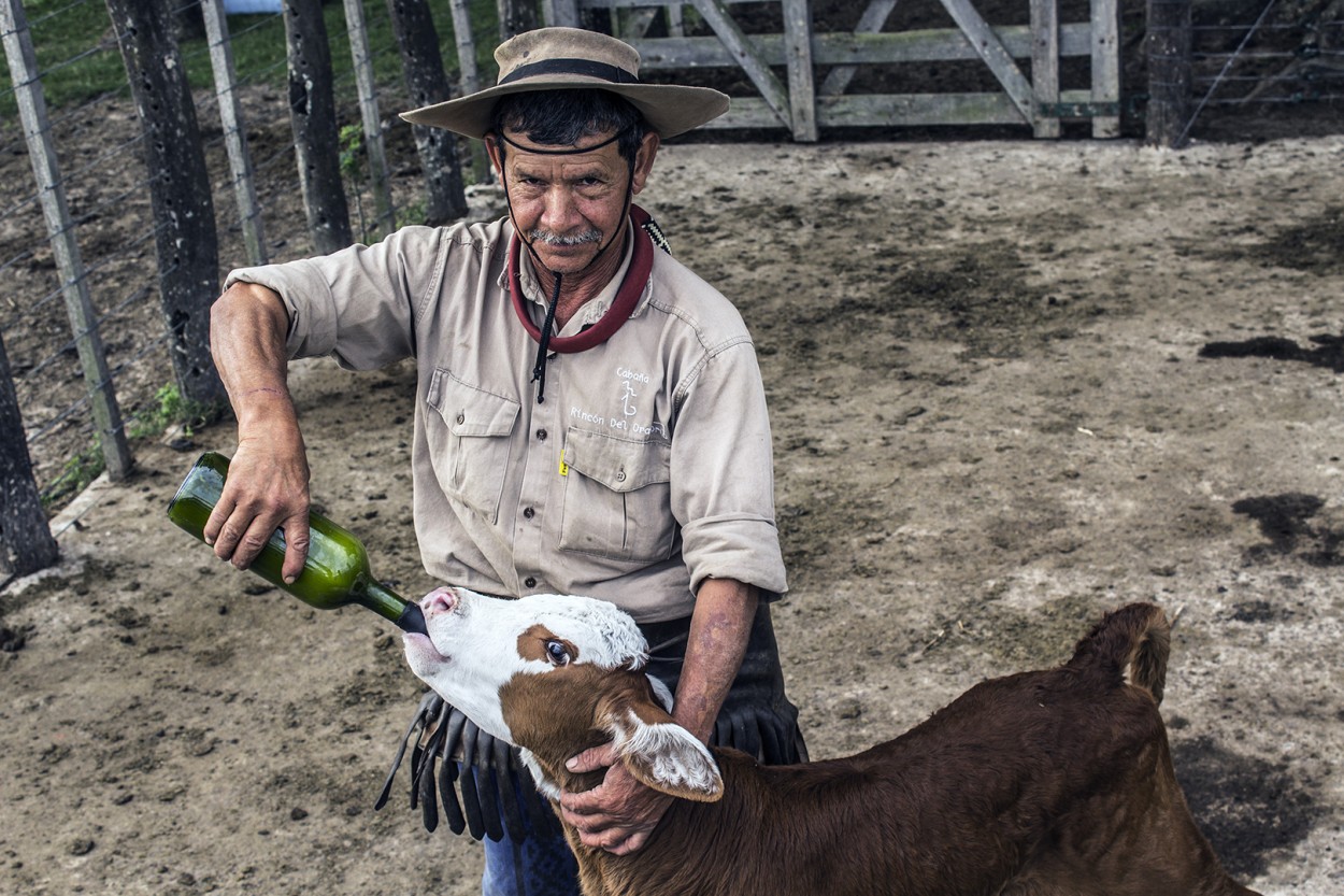 "Vicente, peon rural" de Patricio Samatan