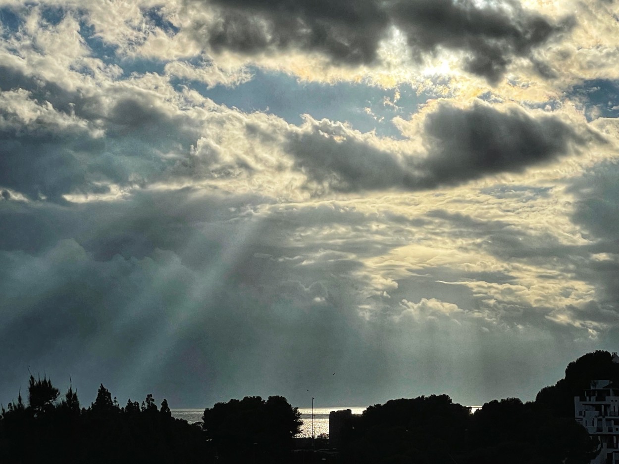 "Una luz en la tormenta" de Carmen Estevez