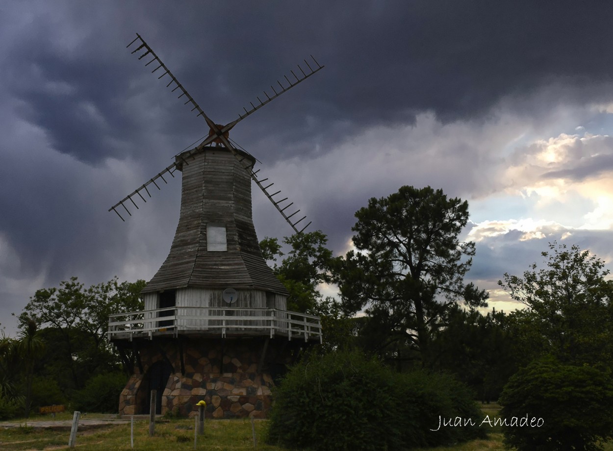 "EL MOLINO" de Juan Amadeo