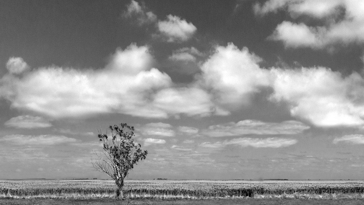 "Bajo las nubes" de Eli - Elisabet Ferrari