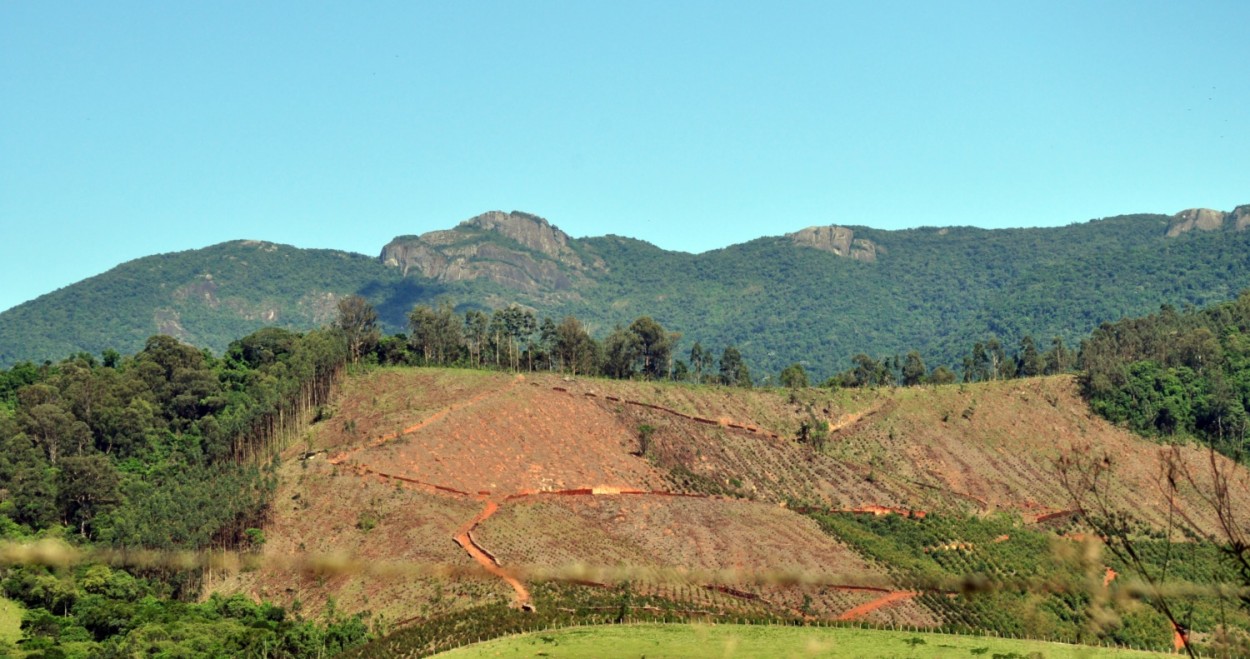 "Um ALERTA, a degradao da Natureza com o......." de Decio Badari