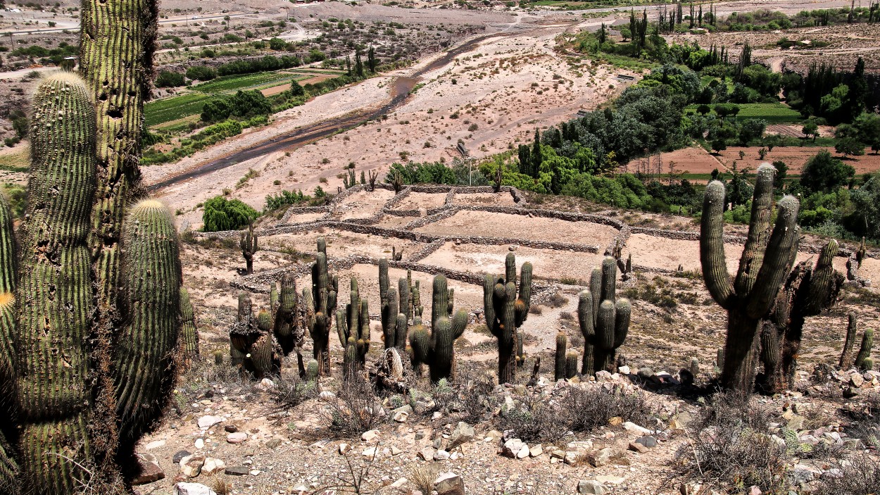 "Las pircas" de Juan Carlos Barilari