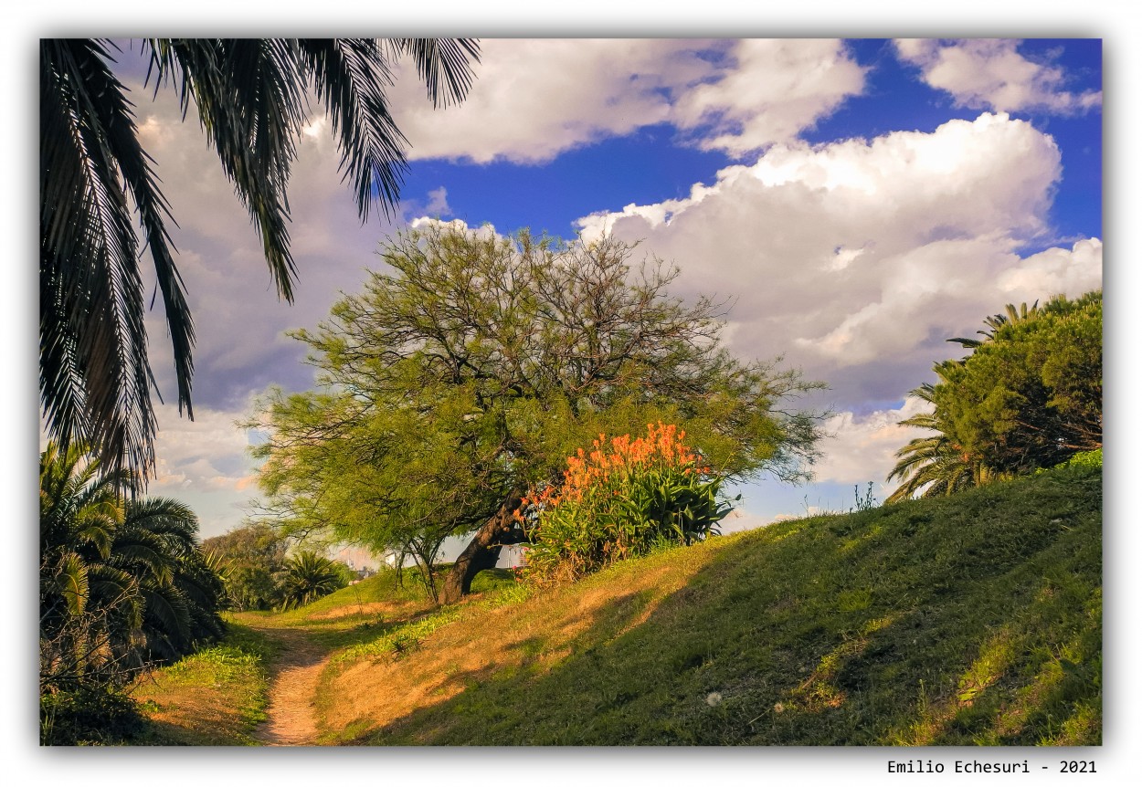 "Sendero" de Emilio Echesuri